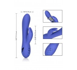 Sexy Shop Online I Trasgressivi - Vibratore Rabbit - Beverly Hills Bunny Purple - California Exotic Novelties