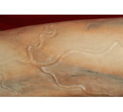 Sexy Shop OnLine I Trasgressivi - Sex Toy Luxury - Fallo Realistico in Marmo