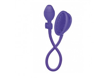 Pompa Per Vagina - Intimate Silicone Pump Purple - California Exotic Novelties