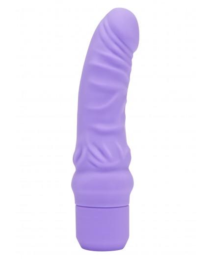 Sexy Shop Online I Trasgressivi - Fallo Realistico Dildo Vibrante - Mini Classic G Spot Vibrator Purple - Toy Joy