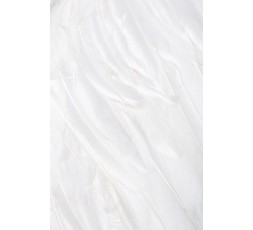 Sexy Shop Online I Trasgressivi - Carnevale Donna - Costume Angel White