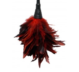 Sexy Shop Online I Trasgressivi - Fruste & Paddle - FF Frisky Feather Duster Red - Pipedream