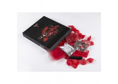Kit BDSM - Love Kit Essential E10 - Virgite