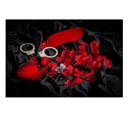 Sexy Shop Online I Trasgressivi - Kit BDSM - Love Kit Essential E10 - Virgite