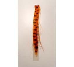 Sexy Shop Online I Trasgressivi - Extensions - Mini Extension Arancio con Stelle Nere