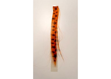 Extensions - Mini Extension Arancio con Stelle Nere