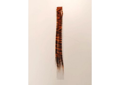 Extensions - Mini Extension Arancio con Strisce Nere