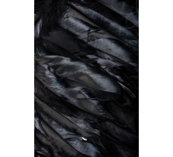 Sexy Shop Online I Trasgressivi - Halloween Donna - Costume da Black Angel