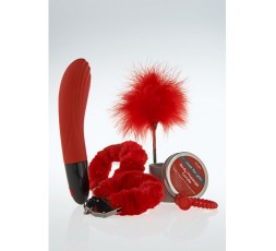Sexy Shop Online I Trasgressivi - Kit BDSM - Just For You Luxe Box No.4 Red - Toy Joy