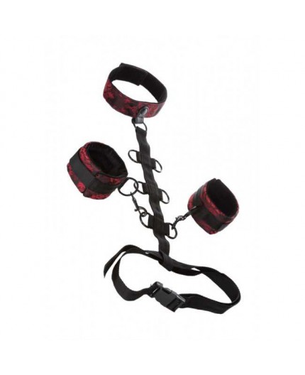 Sexy Shop Online I Trasgressivi - Costrittivo - Collare Con Fasce Corpo E Polsiere Nero - California Exotic Novelties Sexy Shop Online I Trasgressivi - Costrittivo - Collare Con Fasce Corpo E Polsiere Nero - California Exotic Novelties