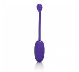 Sexy Shop Online I Trasgressivi - Ovulo Vibrante Wireless - Dual Kegel Purple - California Exotic Novelties