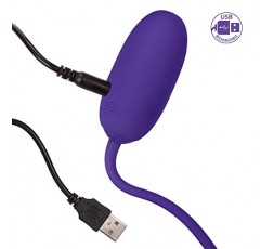 Sexy Shop Online I Trasgressivi - Ovulo Vibrante Wireless - Dual Kegel Purple - California Exotic Novelties
