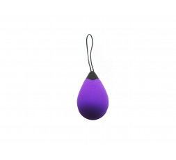 Sexy Shop Online I Trasgressivi - Ovulo Vibrante Wireless - Remote Control Egg Ricaricabile G1 Viola - Virgite