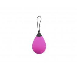 Sexy Shop Online I Trasgressivi - Ovulo Vibrante Wireless - Remote Control Egg Ricaricabile G1 Rosa - Virgite