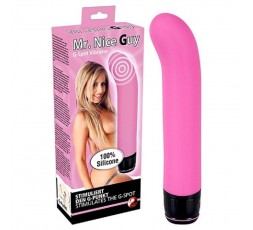 Sexy Shop Online I Trasgressivi - Vibratore Punto G - Mr. Nice Guy - You2Toys